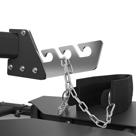 Приседание с поясом Колодец Matrix Magnum MG-PL81 | Matrix Fitness | mtrx-fitness.ru