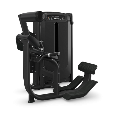 Разгибание спины Matrix Onyx Ultra G7-S52-03-OE | Matrix Fitness | mtrx-fitness.ru