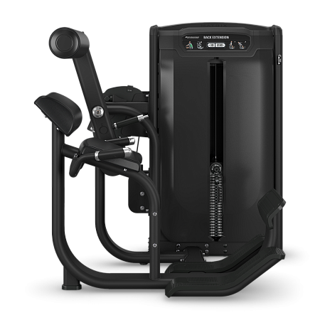 Разгибание спины с консолью Matrix Onyx Ultra G7-S52-03-OE | Matrix Fitness | mtrx-fitness.ru