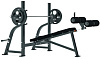 Олимпийская скамья с отрицательным наклоном Matrix G1-FW165 | Matrix Fitness | mtrx-fitness.ru