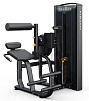Скручивание/ Разгибание спины Matrix Versa Plus VS-S531P | Matrix Fitness | mtrx-fitness.ru